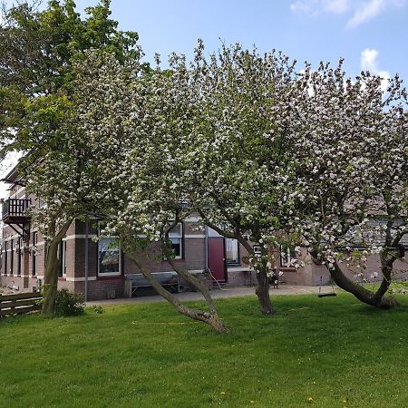 Hunsingo Texel Bed & Breakfast De Cocksdorp  Exterior photo
