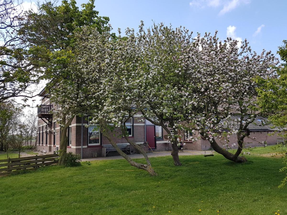 Hunsingo Texel Bed & Breakfast De Cocksdorp  Exterior photo